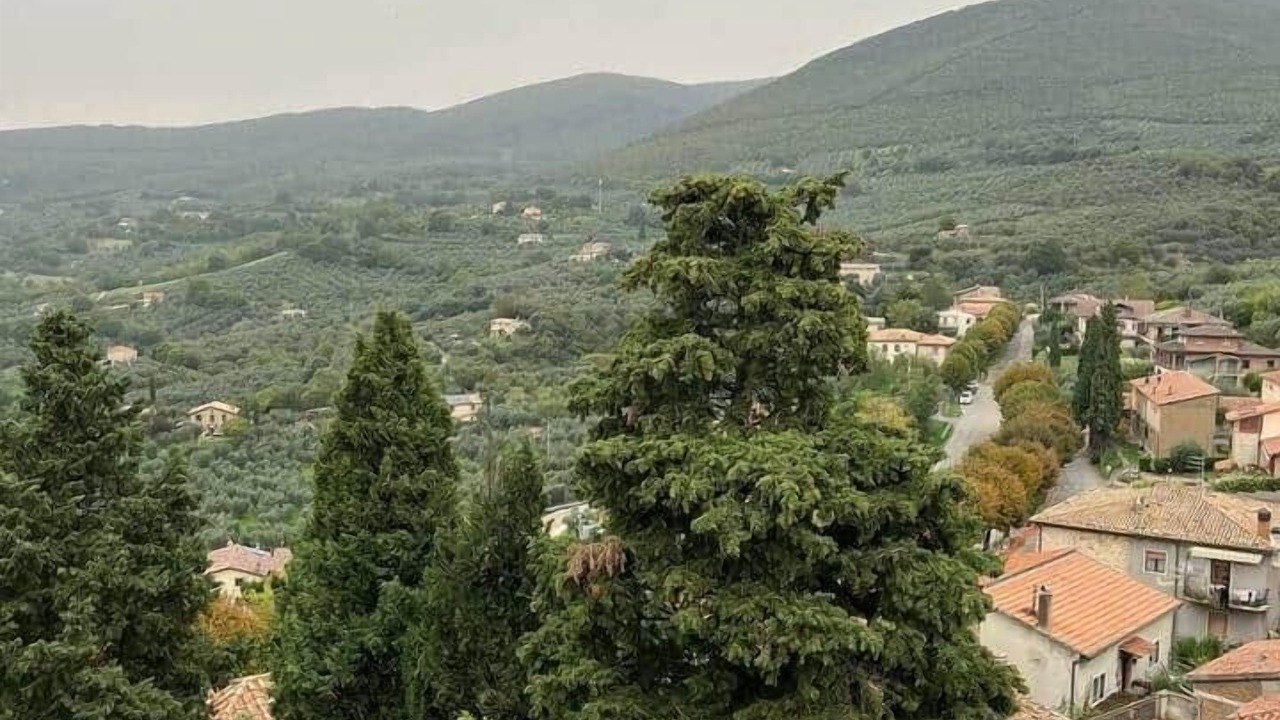Photo of Others in Montecchio