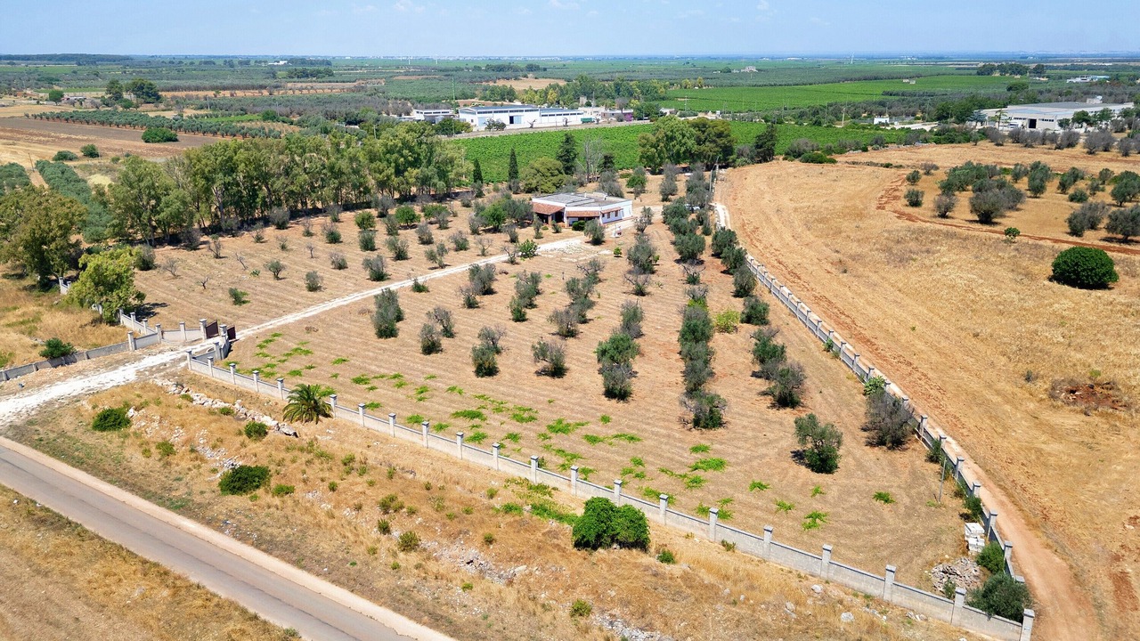 Photo of Outdoor in Avetrana
