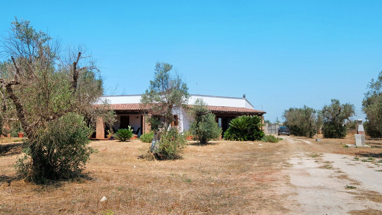 Photo of Outdoor in Avetrana
