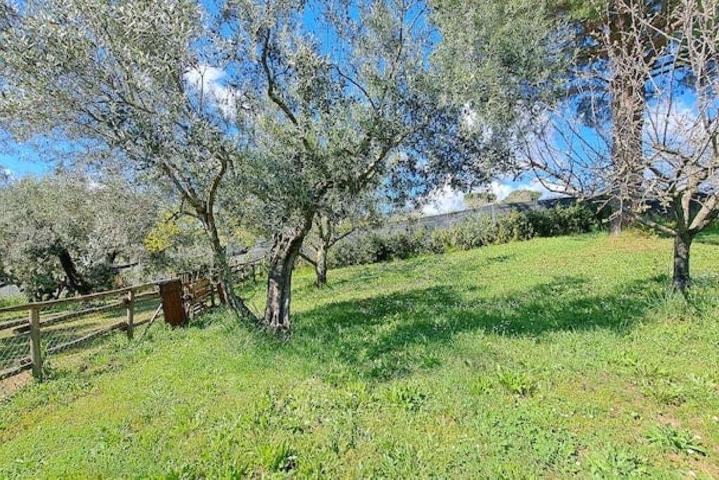 Photo of Outdoor in Formello