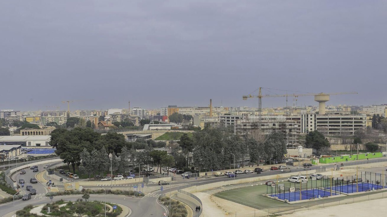 Photo of Others in Municipio 2