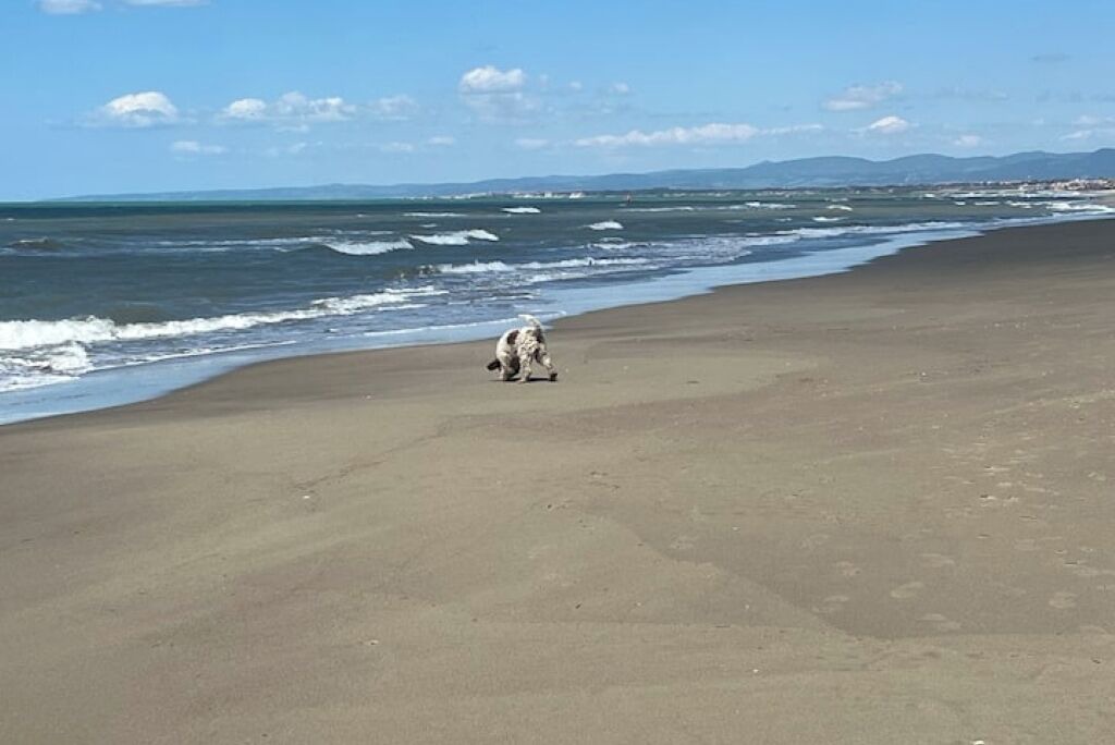 Photo of Others in Marina di San Nicola