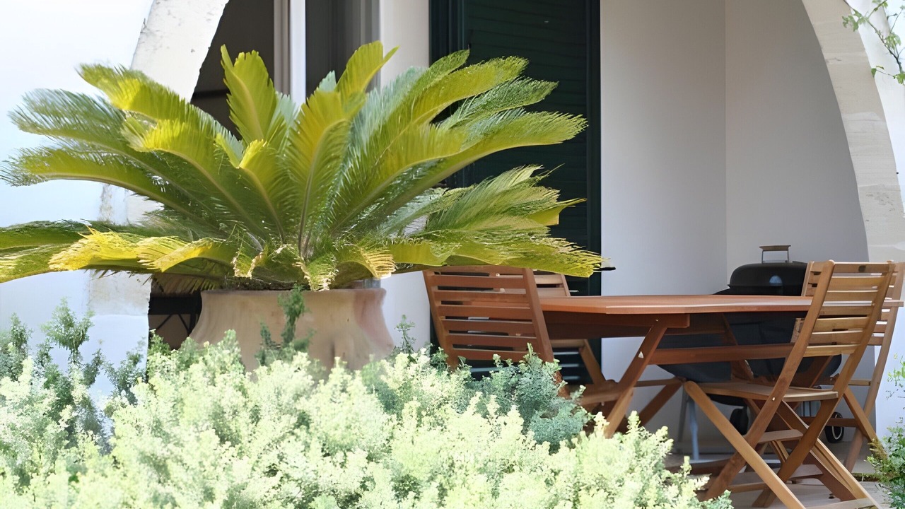 Photo of Outdoor in Santa Maria al Bagno