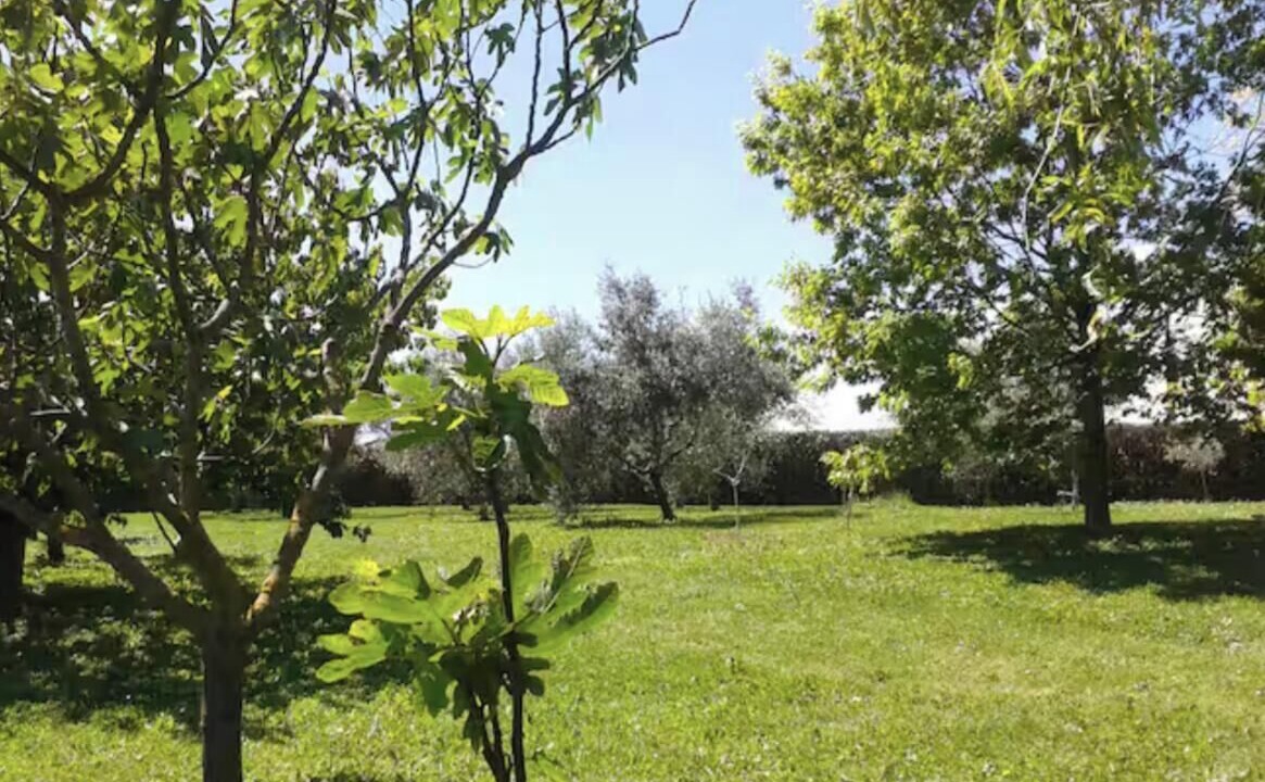 Photo of Outdoor in Monterosi