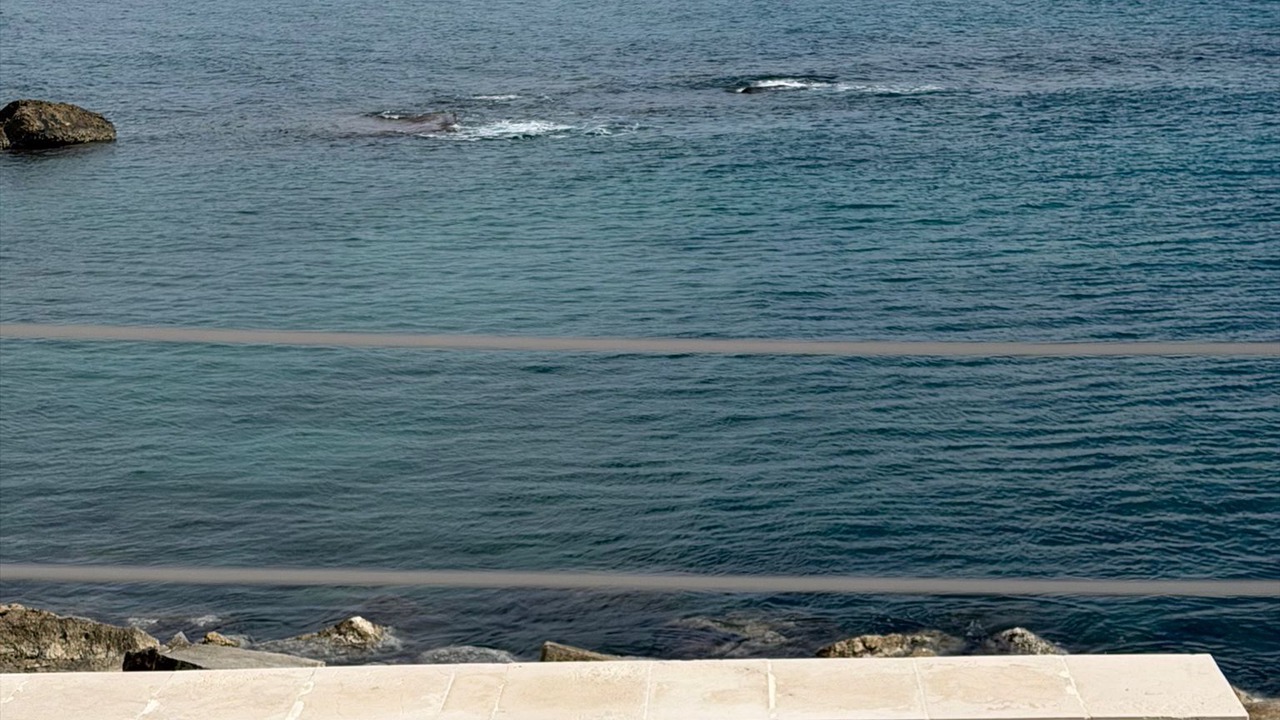 Photo of Outdoor in Giovinazzo