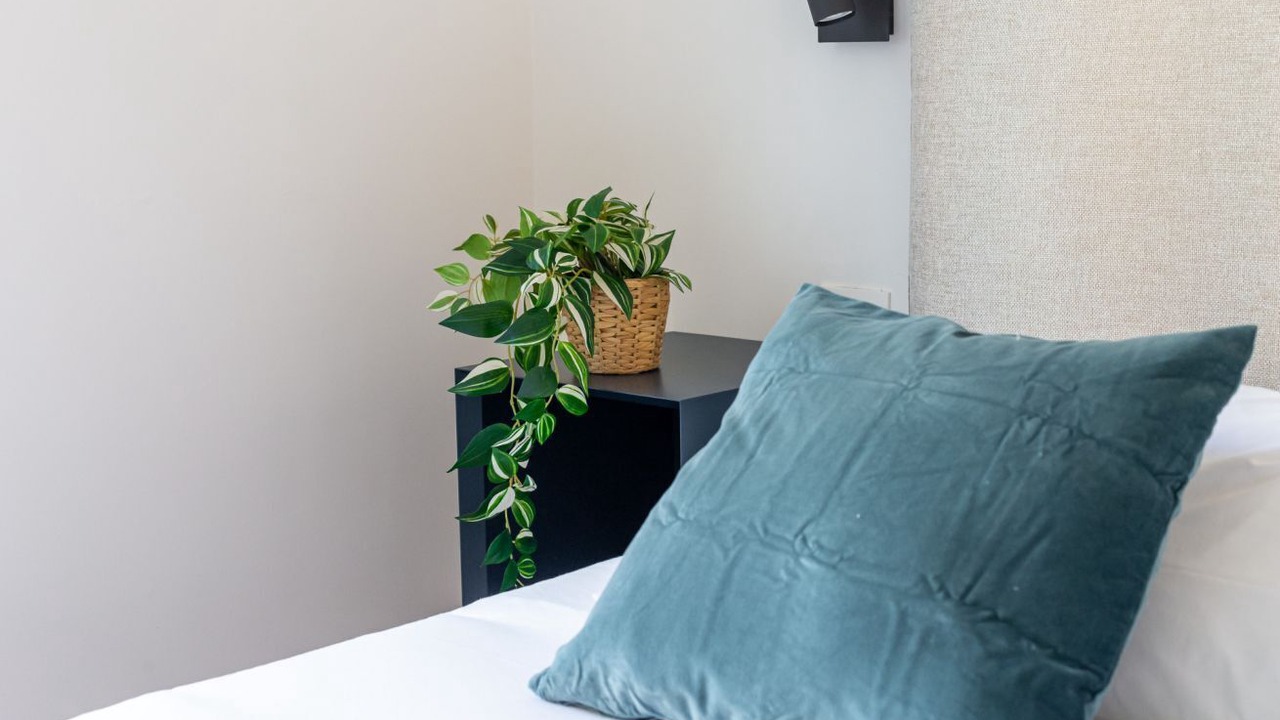 Photo of Bedroom in Salario