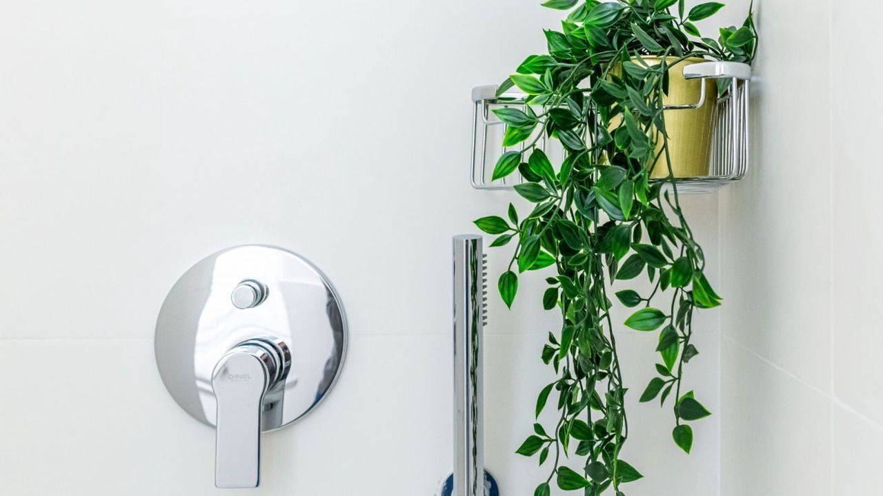 Photo of Bathroom in Salario