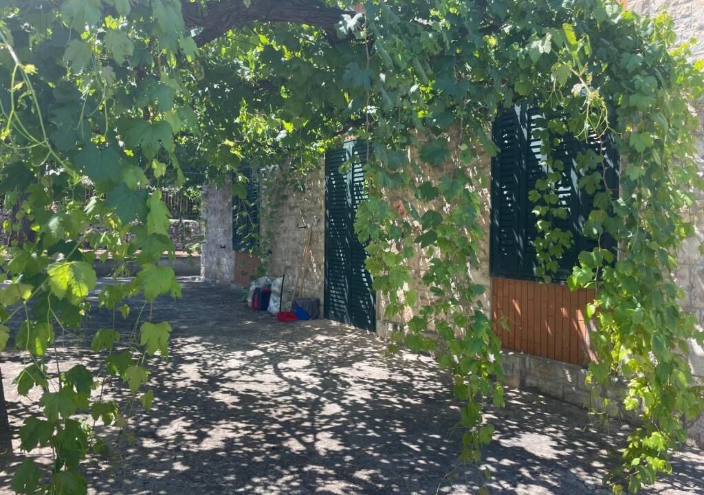 Photo of Outdoor in Selva di Fasano