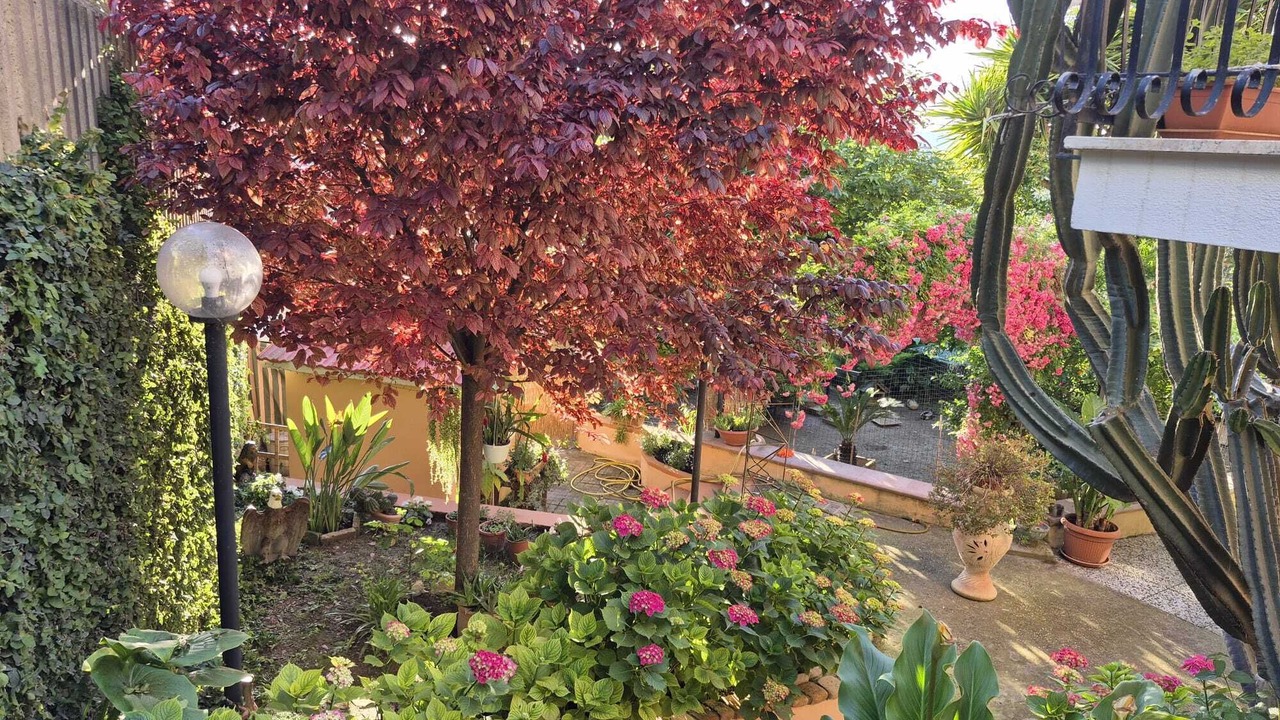 Photo of Outdoor in Monterotondo