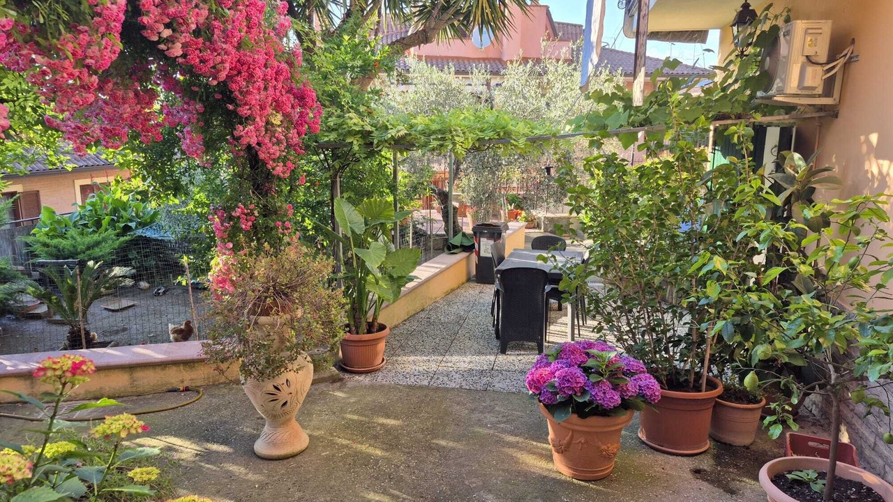 Photo of Outdoor in Monterotondo