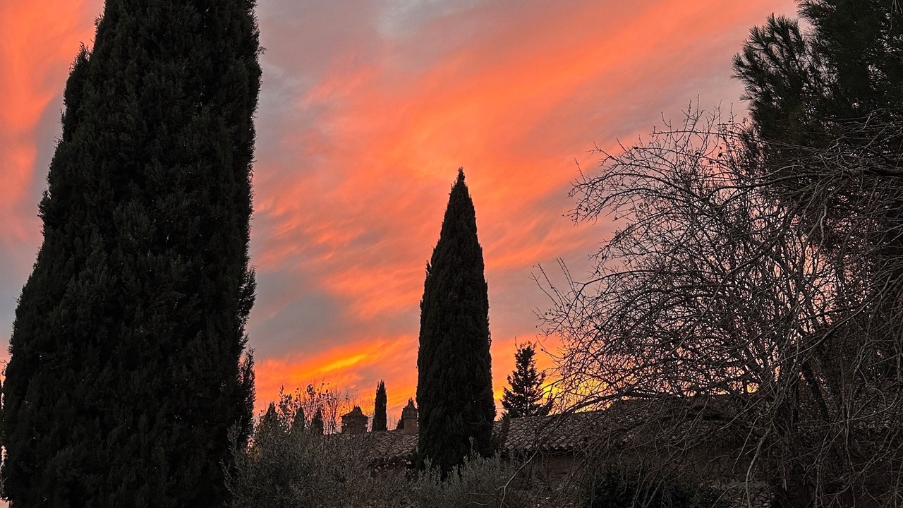 Photo of Others in Fontignano