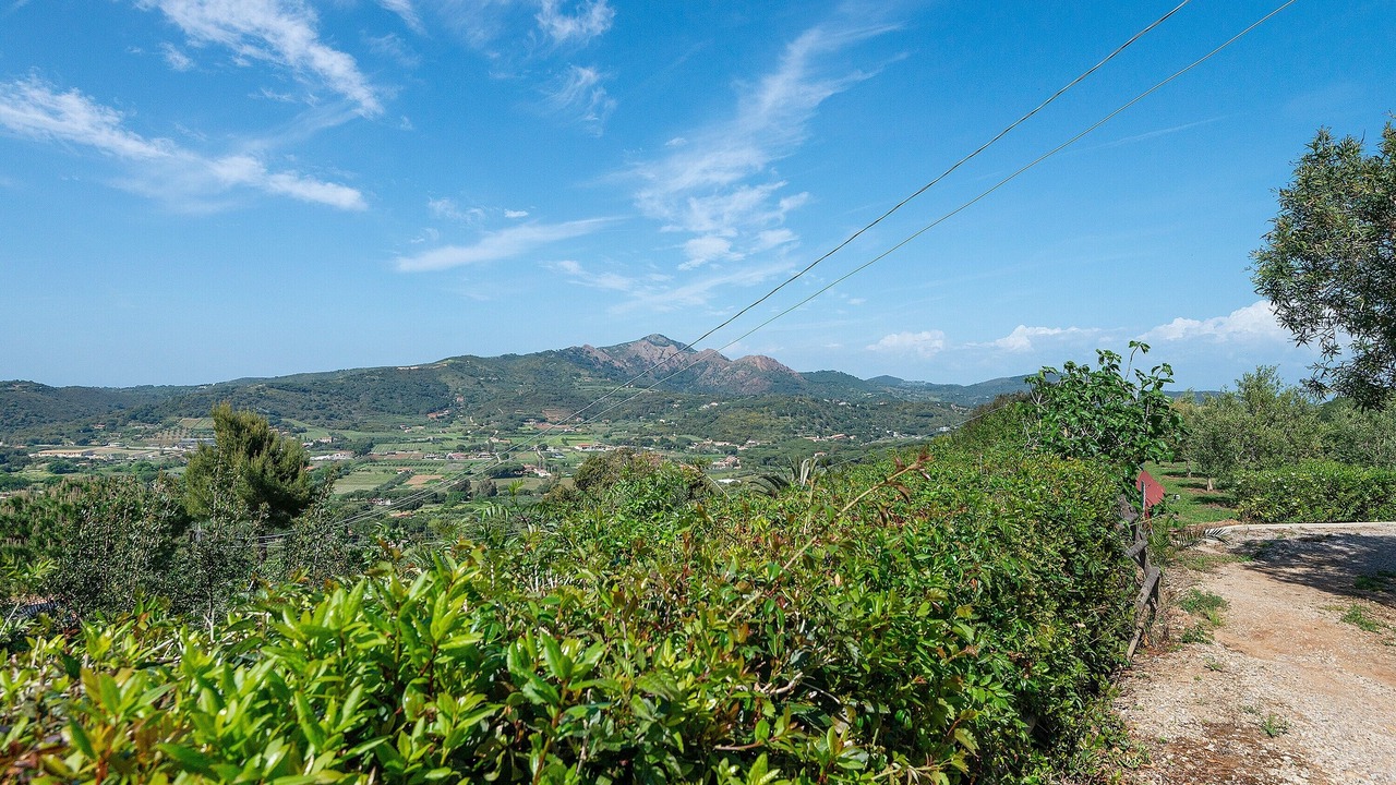 Photo of Others in Capoliveri