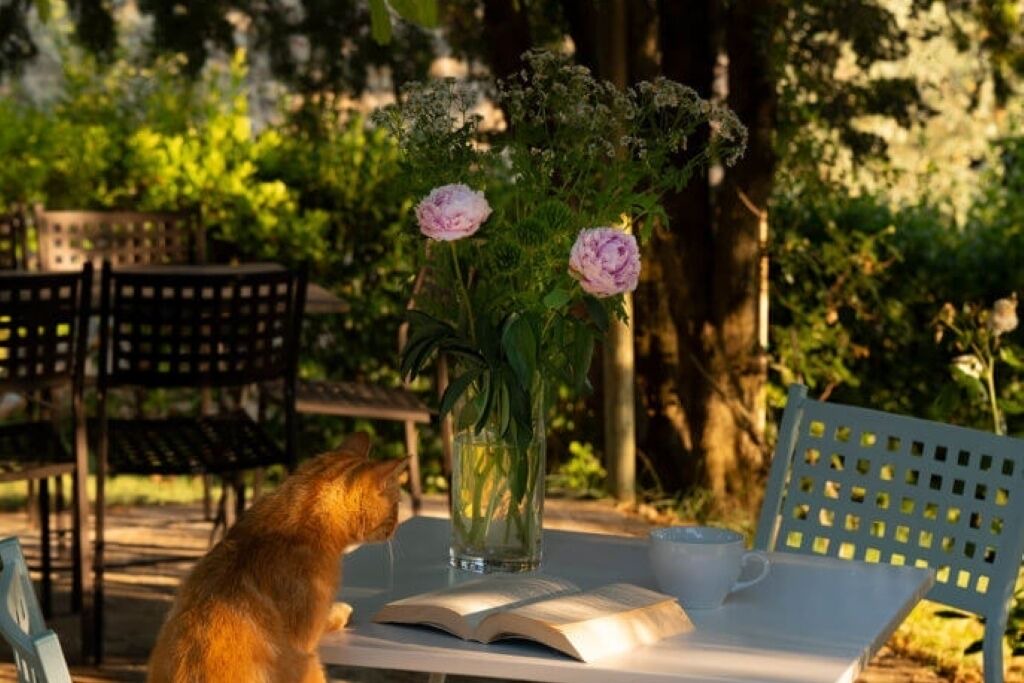 Photo of Outdoor in Castiglione della Valle