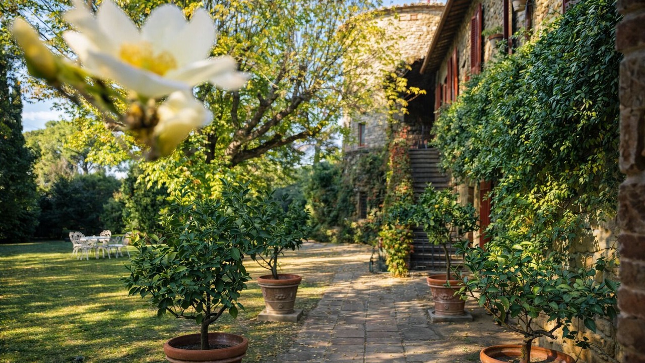 Photo of Outdoor in Panicale