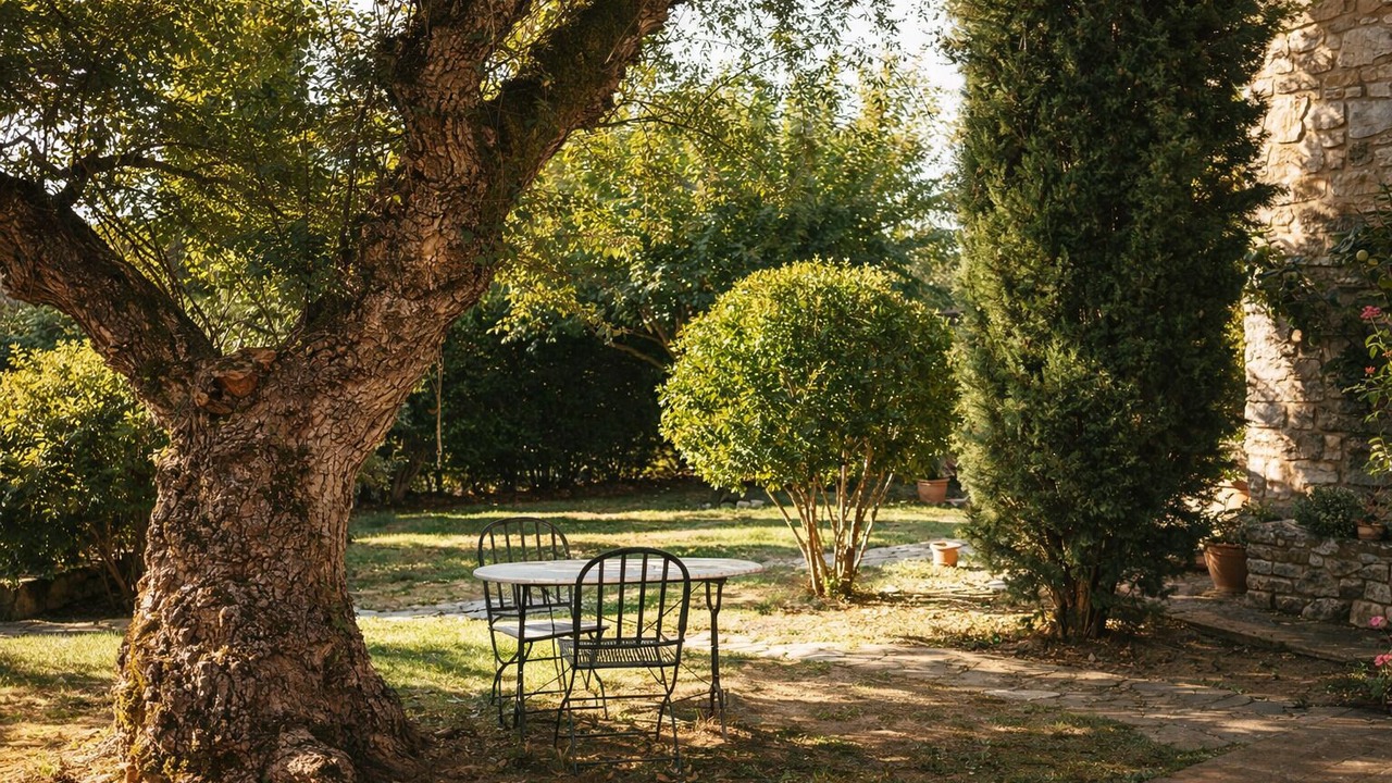 Photo of Outdoor in Todi