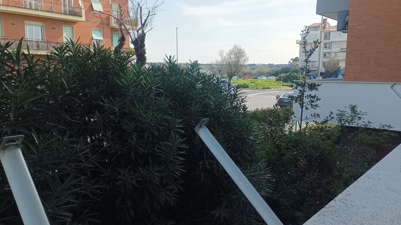 Photo of Outdoor in Quartiere XXXIV Lido di Ostia Levante