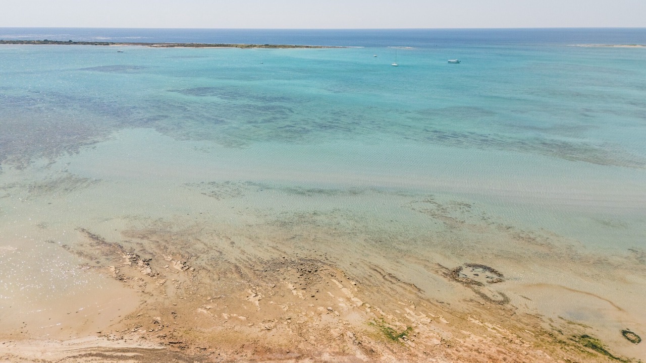 Photo of Others in Punta Prosciutto