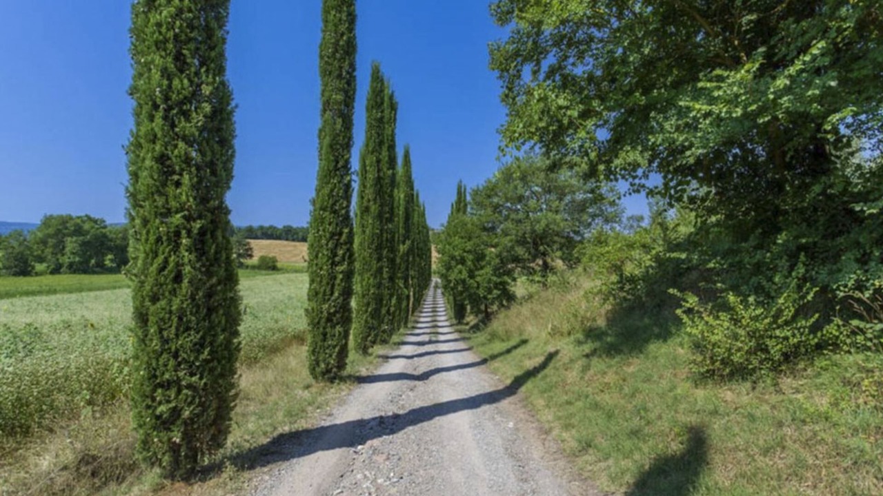 Photo of Others in Castiglione del Lago