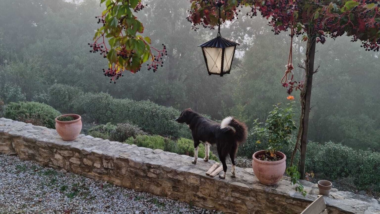 Photo of Outdoor in Citta di Castello