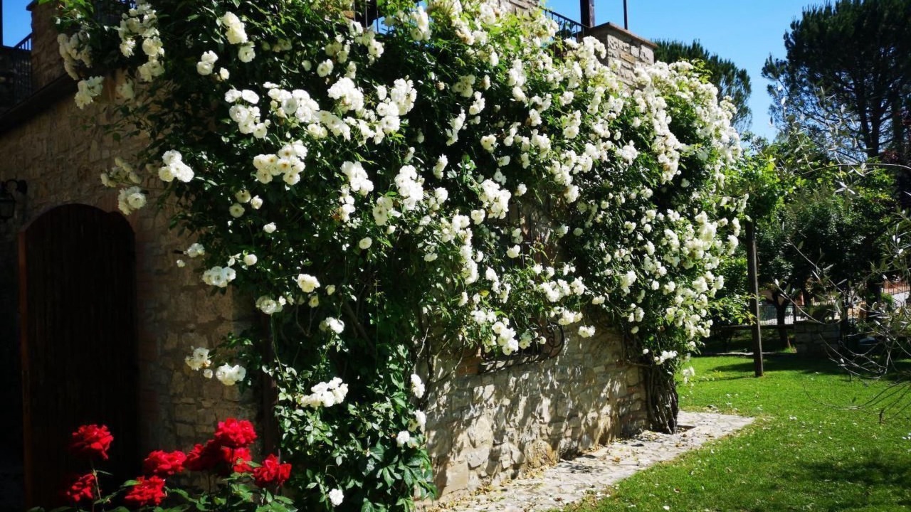 Photo of Others in San Venanzo
