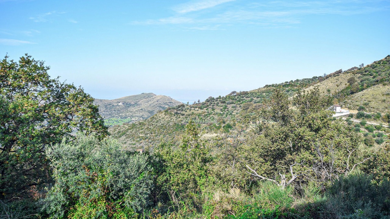 Photo of Bedroom in Laureana Cilento