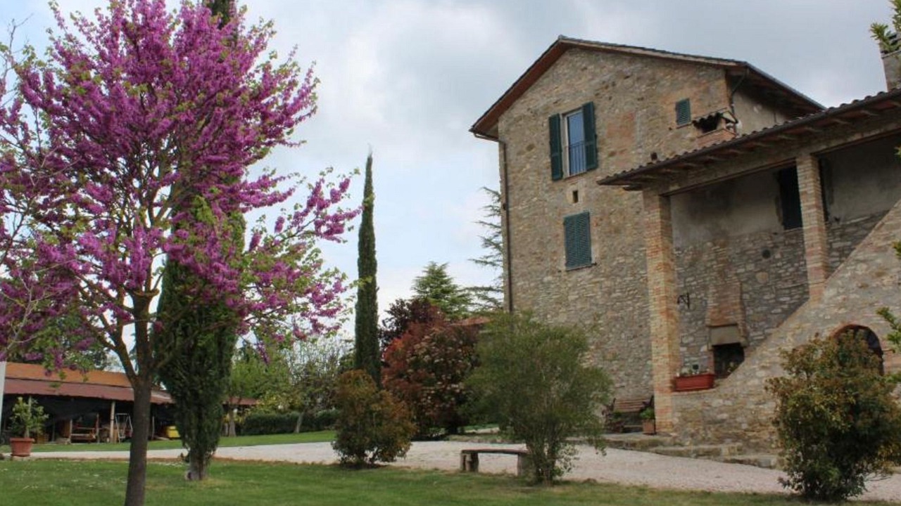 Photo of Outdoor in Coltavolino