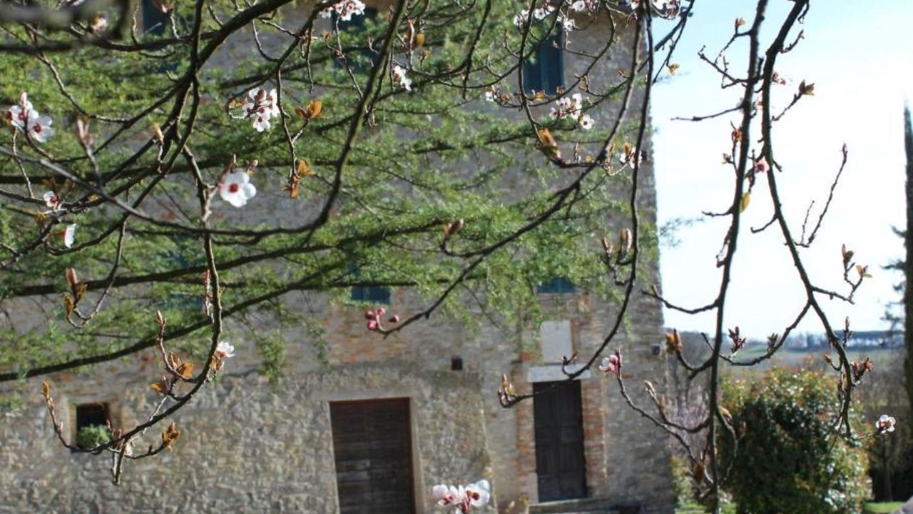 Photo of Others in Coltavolino