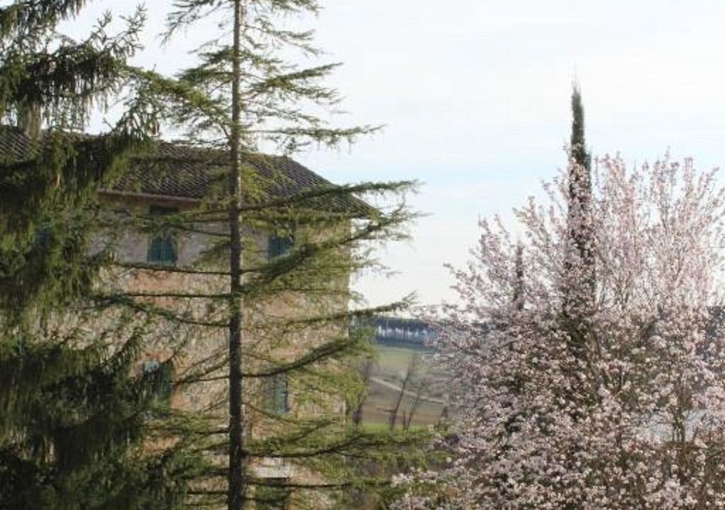 Photo of Outdoor in Coltavolino