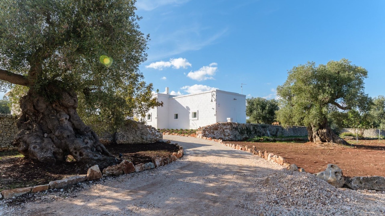 Photo of Outdoor in Ostuni