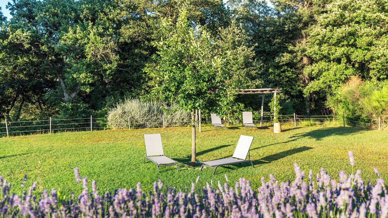 Photo of Outdoor in Trequanda