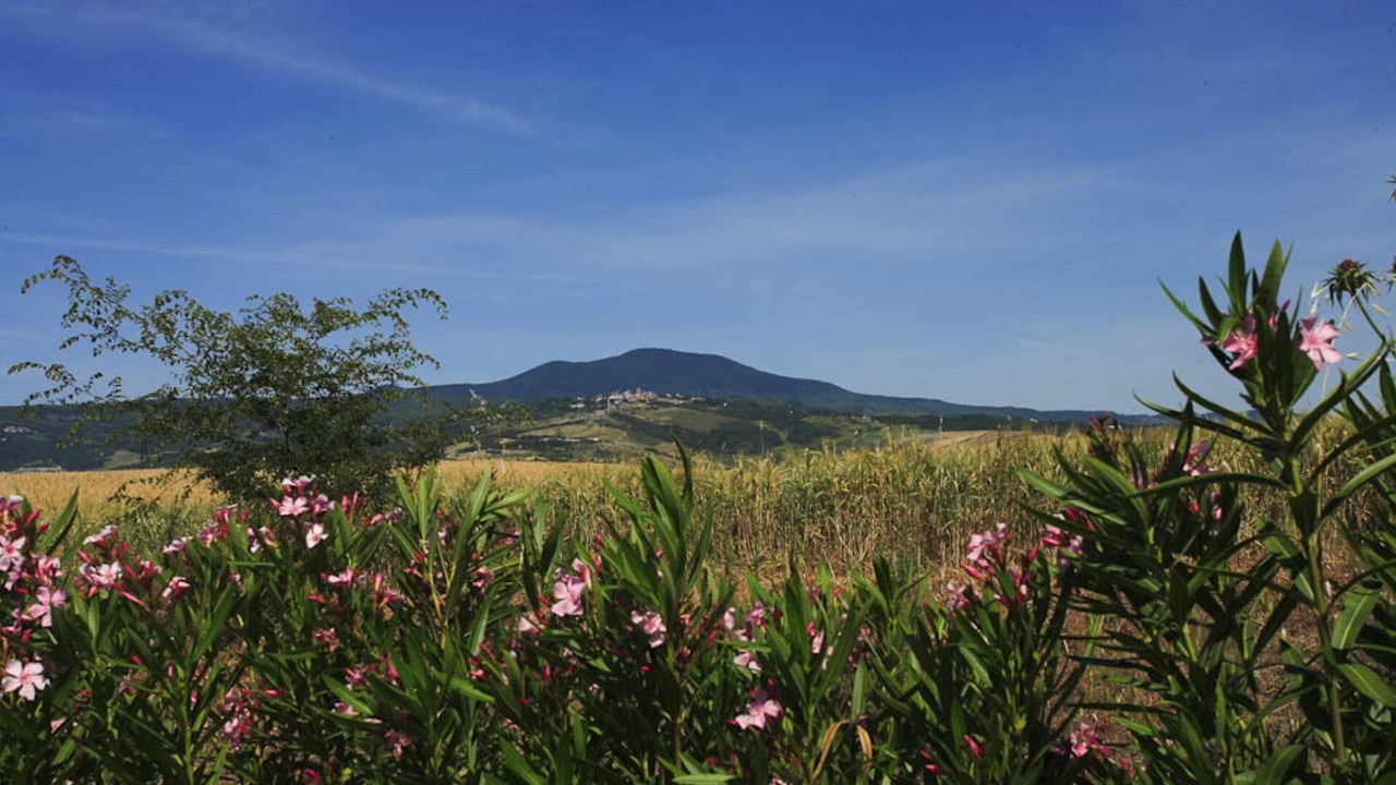Photo of Others in Piancastagnaio
