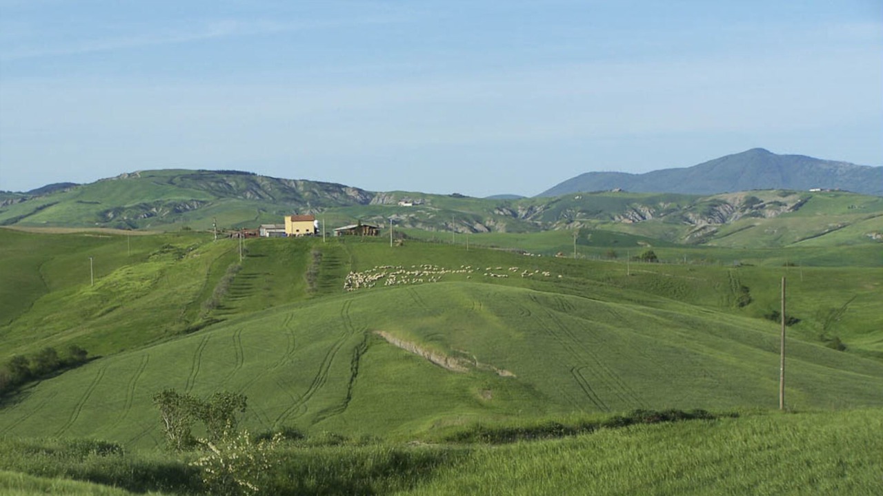 Photo of Others in Piancastagnaio