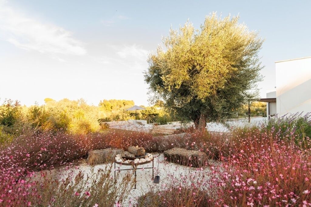 Photo of Outdoor in Ostuni