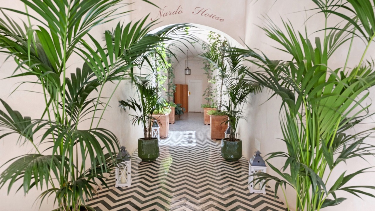 Photo of Others in Centro Storico
