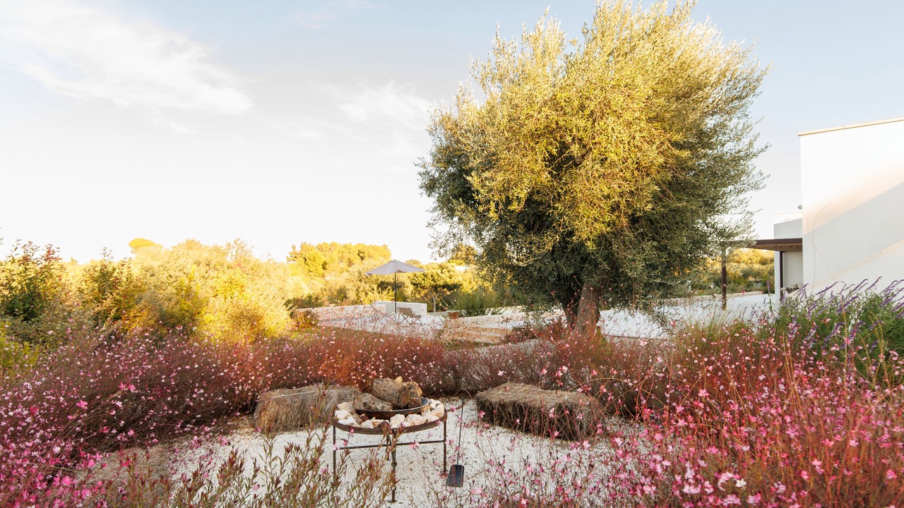 Photo of Outdoor in Ostuni