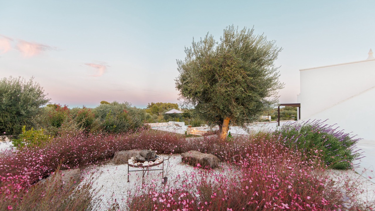 Photo of Outdoor in Ostuni
