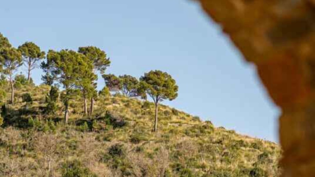 Photo of Others in Castellabate
