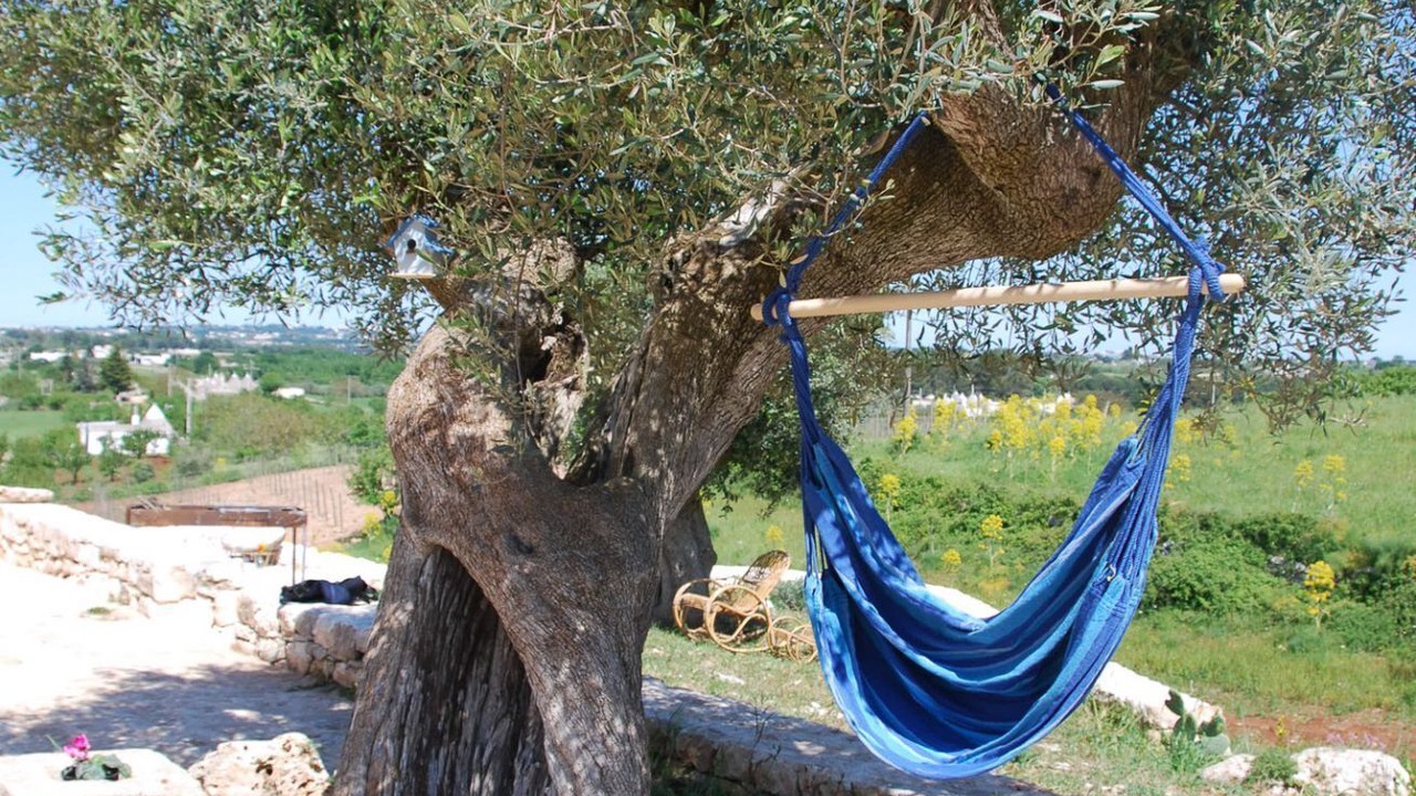 Photo of Outdoor in Martina Franca