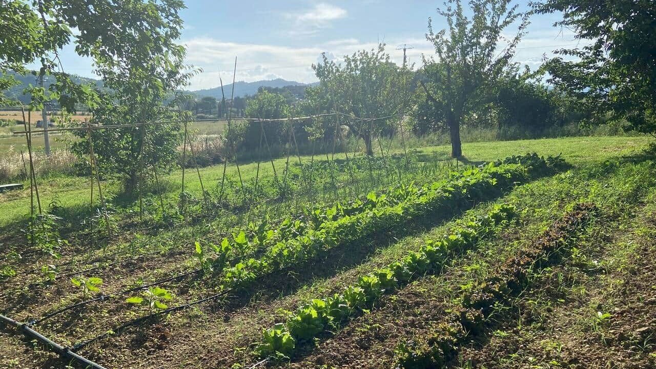 Photo of Others in San Biagio della Valle