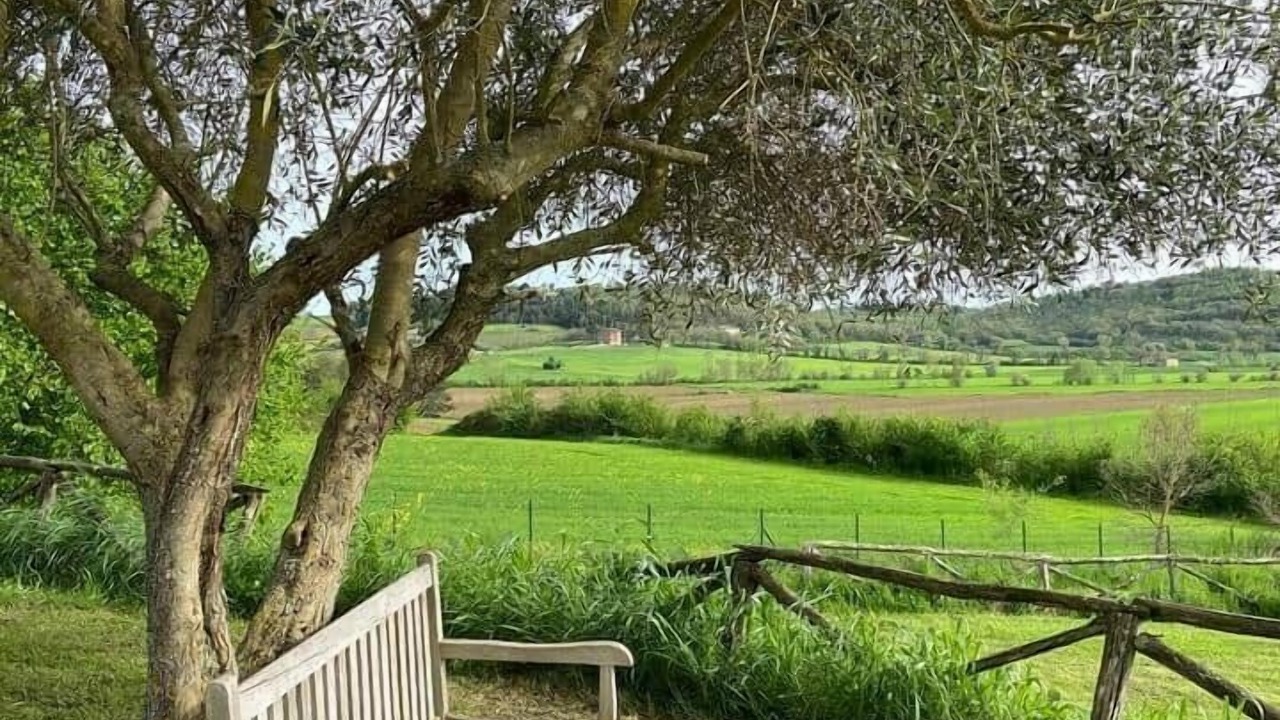Photo of Outdoor in Castiglione della Valle