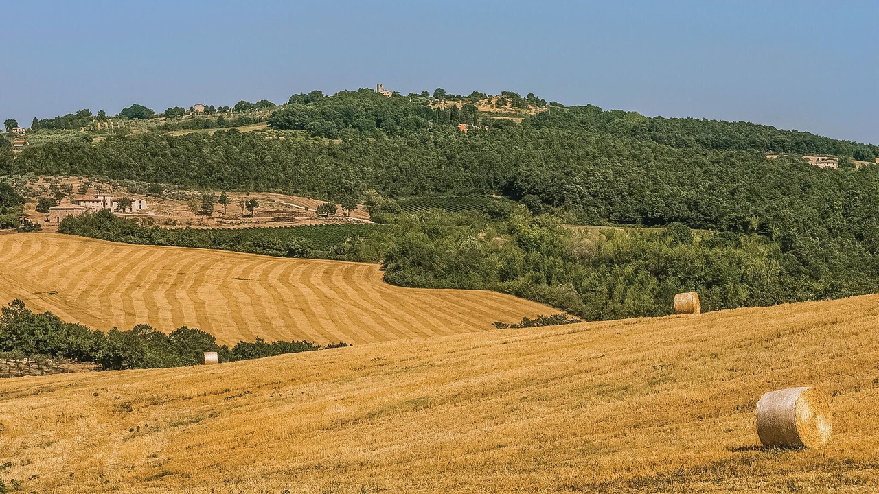 Photo of Others in Marcellano