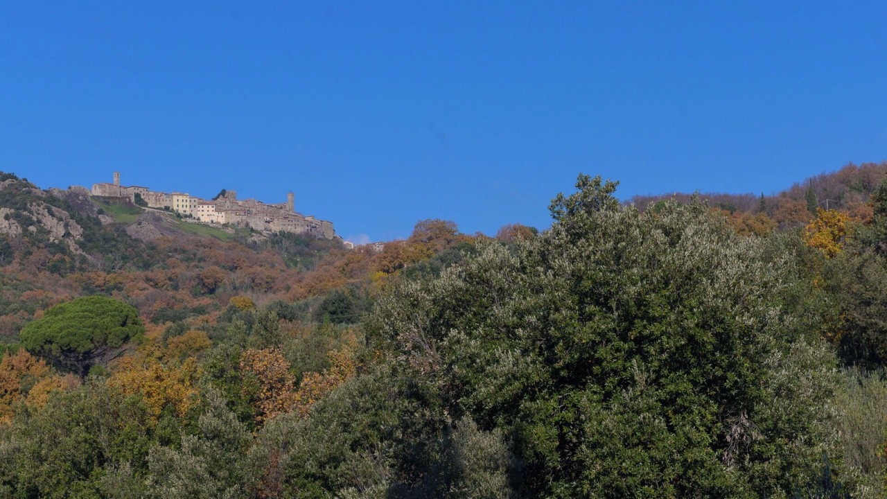 Photo of Others in Roccastrada