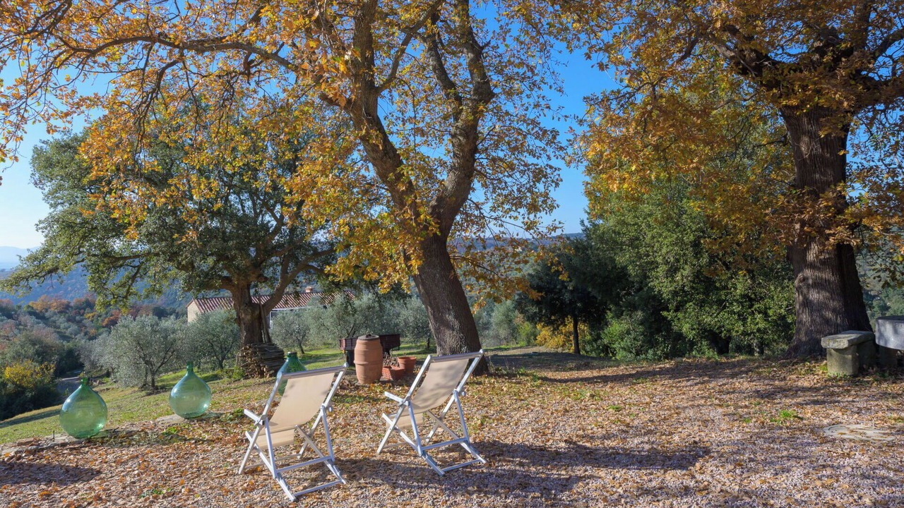 Photo of Others in Roccastrada