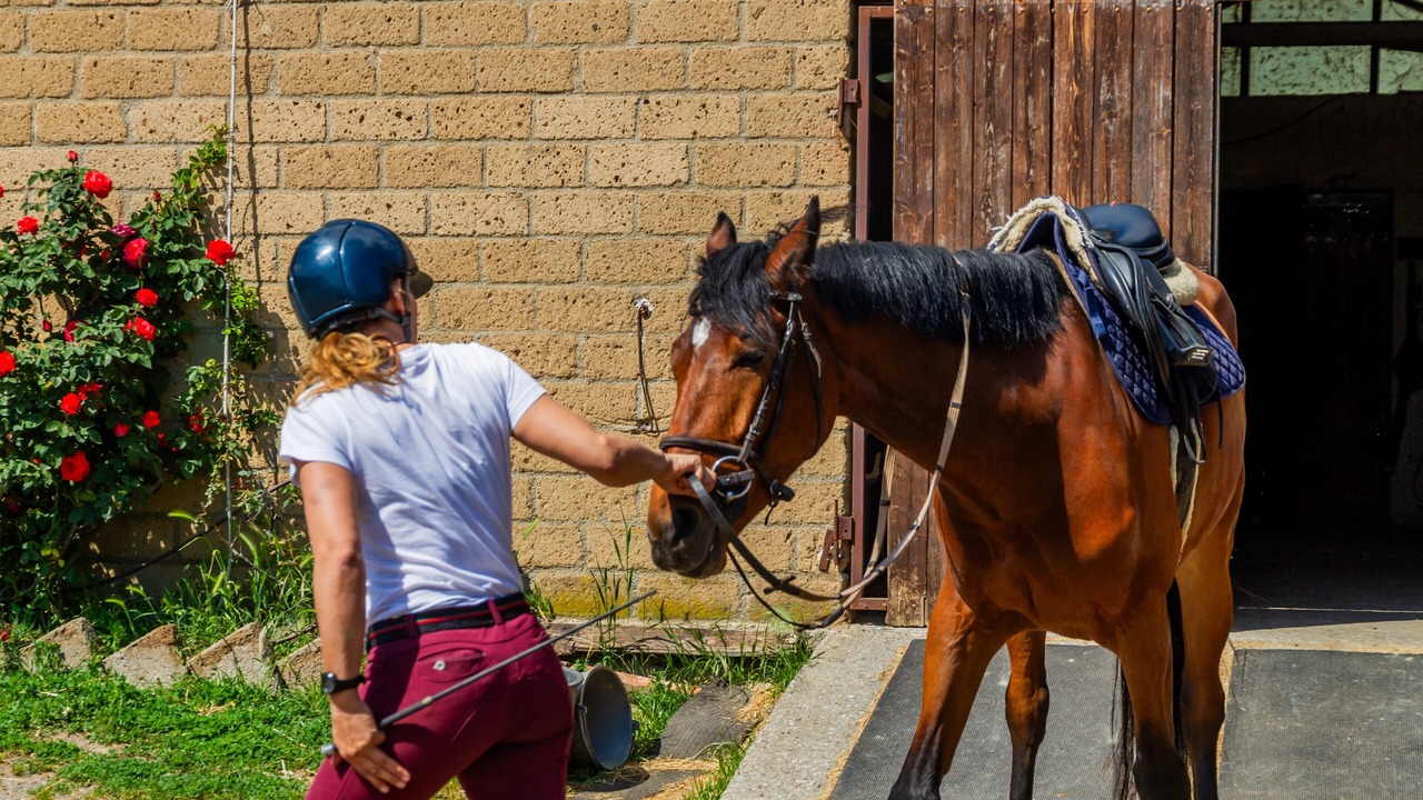 Photo of Others in Grosseto