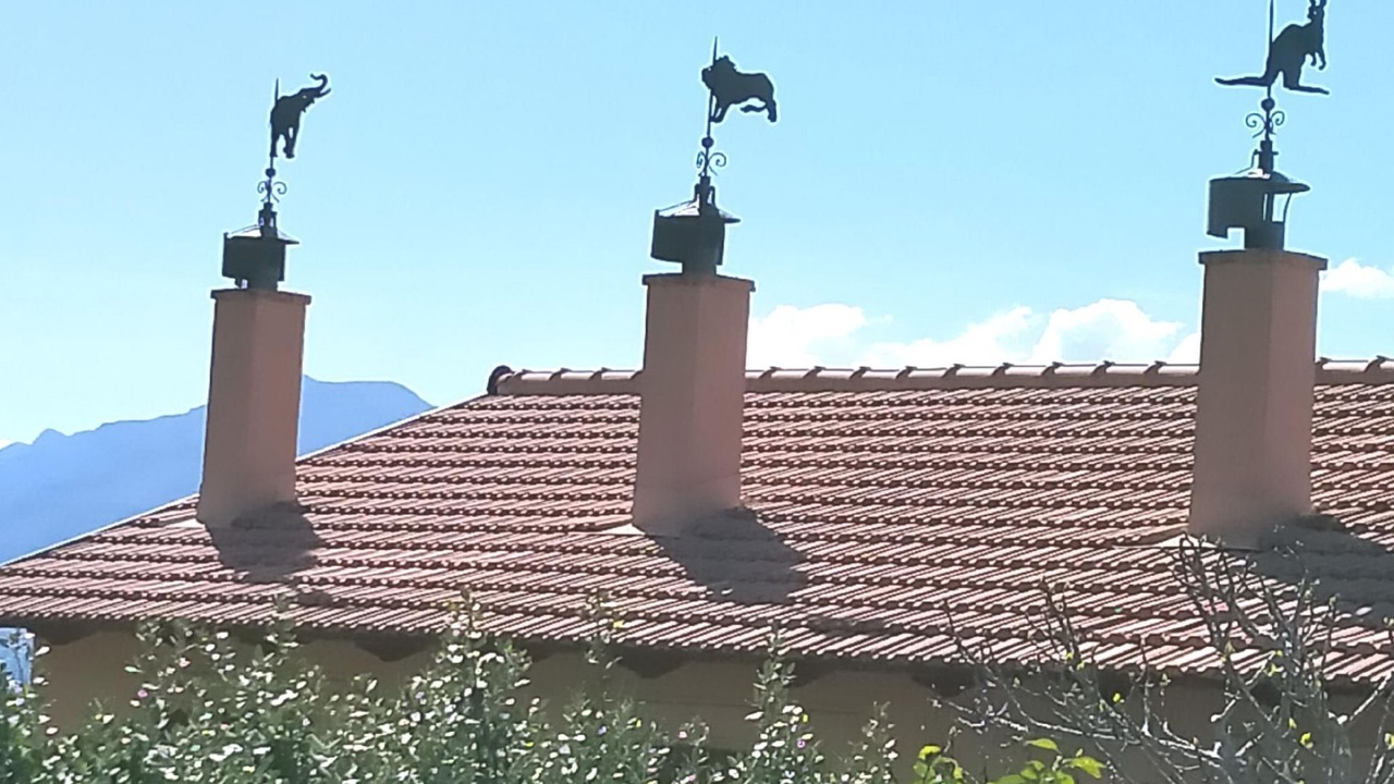 Photo of Others in Porticello