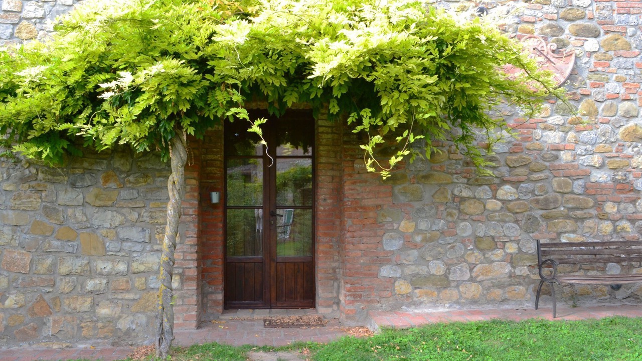 Photo of Others in Monteleone d'Orvieto