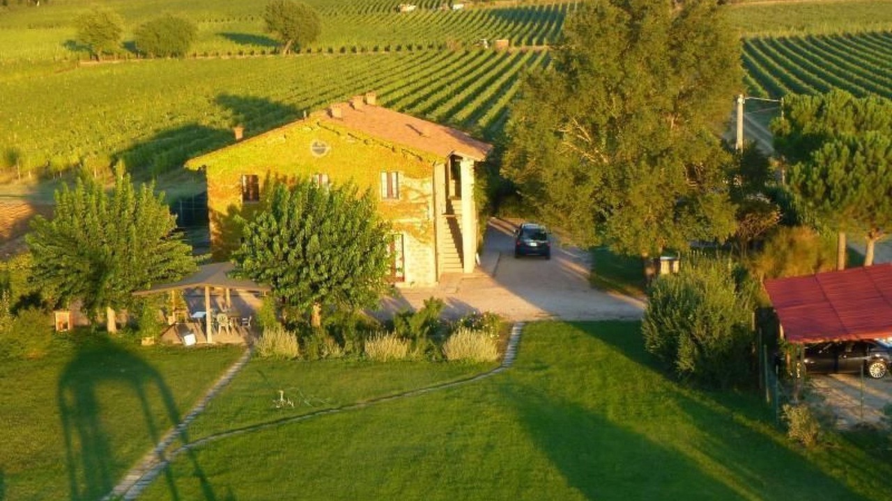 Photo of Outdoor in Torgiano