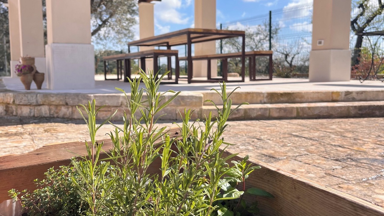 Photo of Outdoor in Castellana Grotte