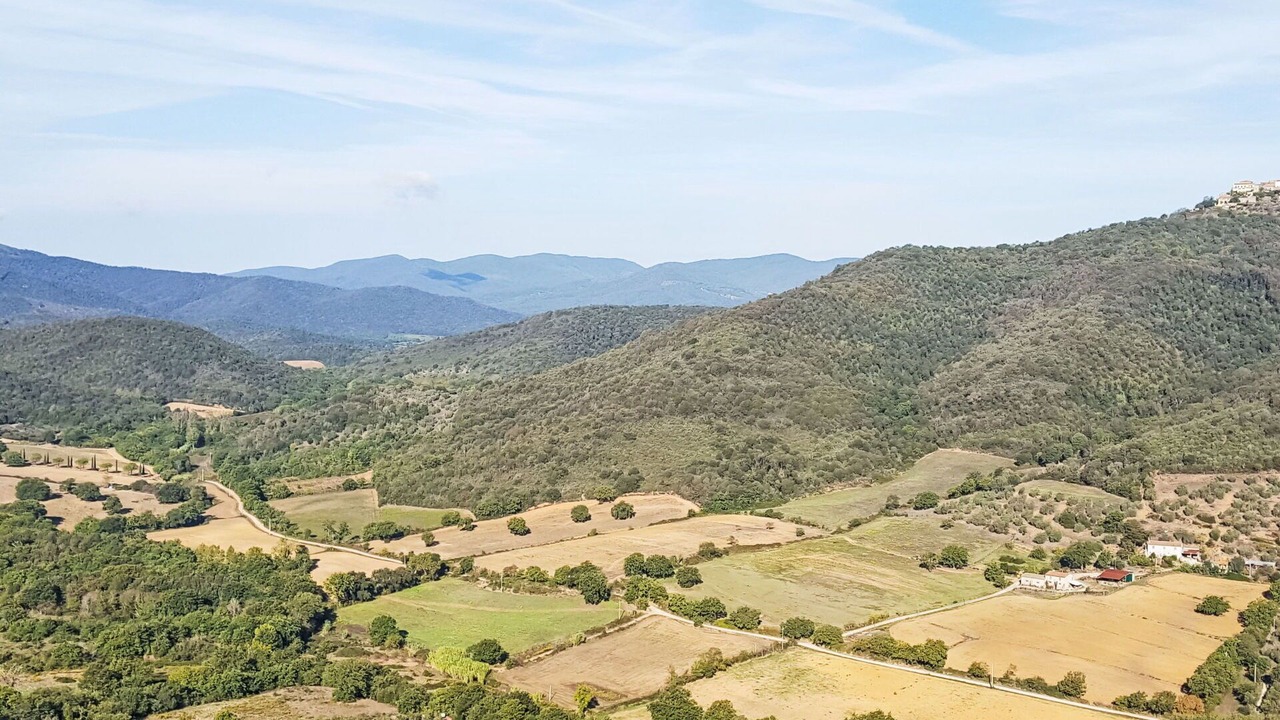 Photo of Others in Castiglione della Pescaia