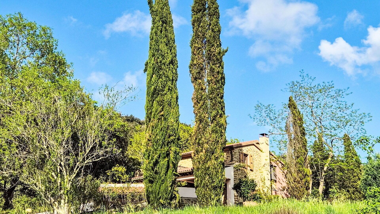Photo of Others in Castiglione della Pescaia
